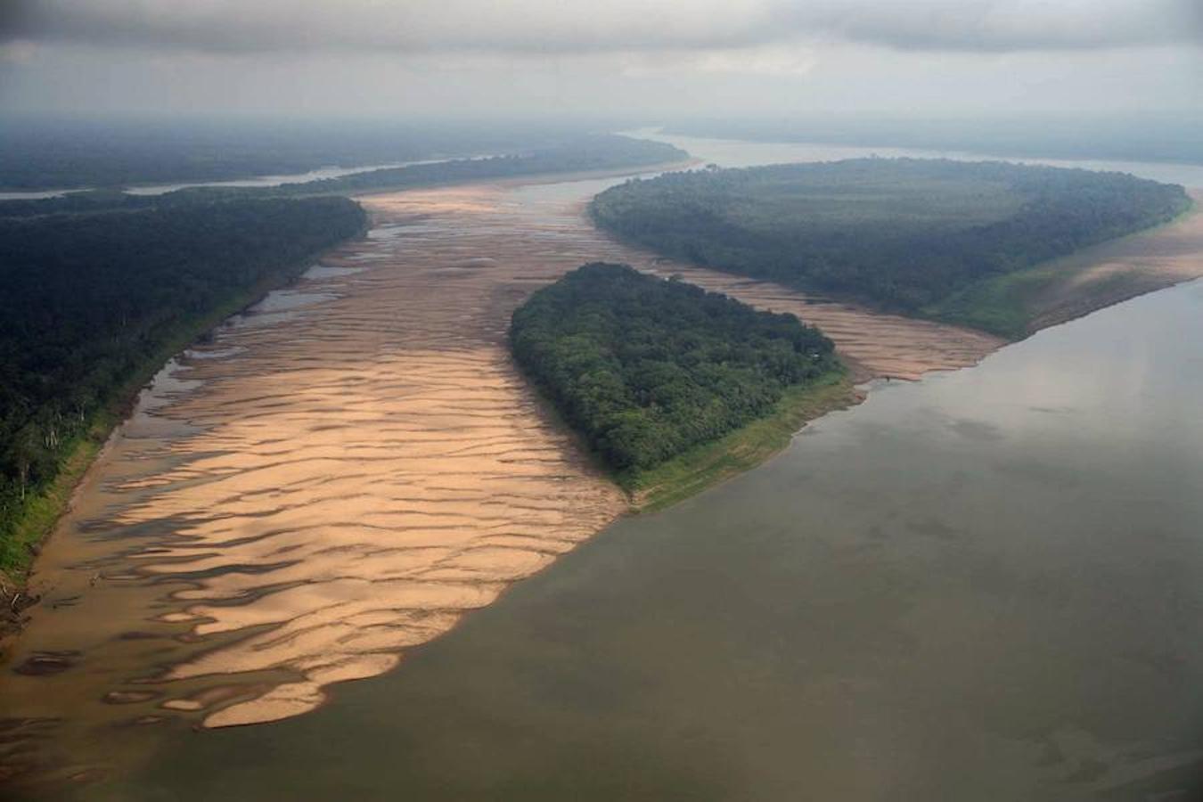 Амазонка река Устье реки