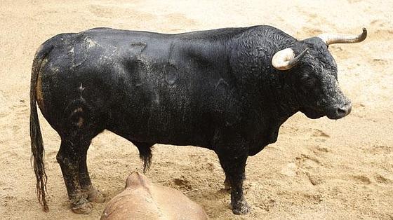 Último toro de la tarde