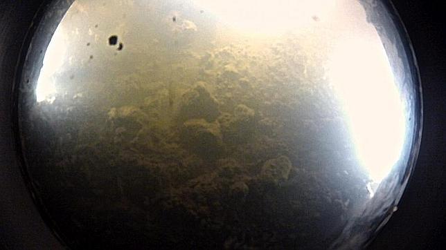 Vida «extraterrestre» bajo la superficie helada de la Antártida