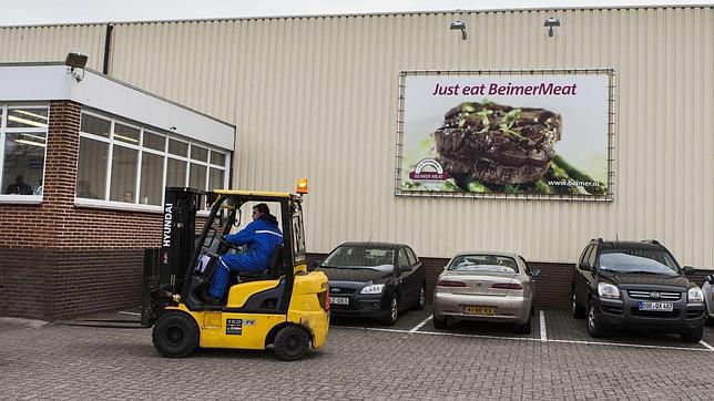 Holanda analiza hamburguesas que podrían estar infectadas por bacteria E.coli