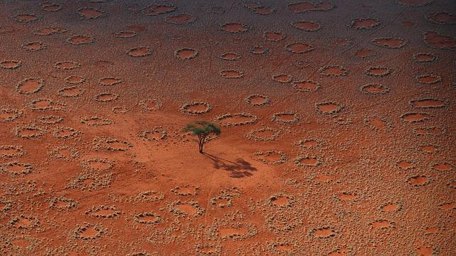 ¿Quién está detrás de los extraños círculos de los desiertos?