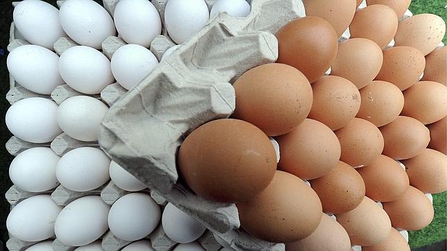 Huevos, magdalenas, pasta, miel y otros alimentos que, como el yogur, no caducan