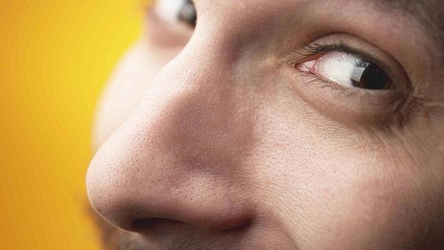 Las narices europeas son más largas y afiladas