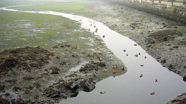 La Eurocámara amplía la lista de sustancias contaminantes de ríos y lagos