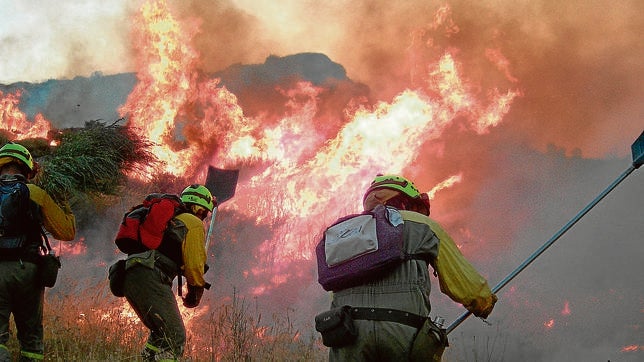 Incendios: la «plaga» de cada verano