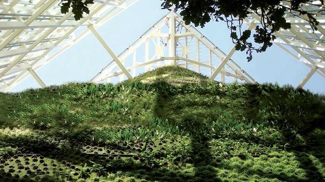 Los jardines verticales más asombrosos del mundo