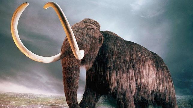 De la clonación de Dolly a la «resurrección» del mamut lanudo
