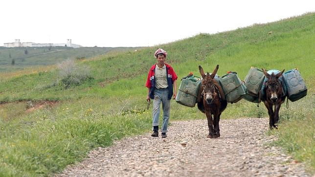 Un marroquí pasa a su país (al fondo un puesto militar argelino) con dos burros cargados de gasolina