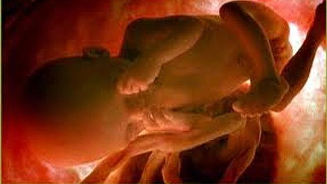 Ocho razones para cambiar la ley del aborto de Aído