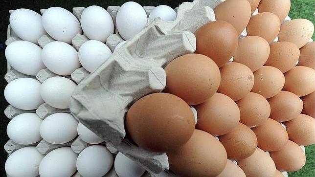 Huevos blancos y morenos