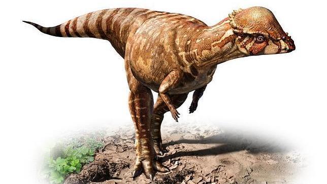 Los Diez Dinosaurios M s Raros Descubiertos En Los ltimos A os