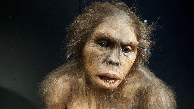 Recreación de un homo habilis