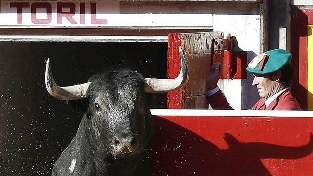 Un toro sale al ruedo de Pamplona