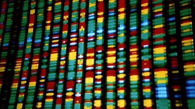 La metodología se usará de forma rutinaria y acelerará la investigación de las enfermedades hereditarias