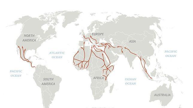 Migracion En El Mundo