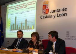 Más de la mitad de los 1.871 incendios declarados en 2008 se quedó en conatos
