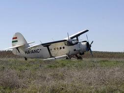 Vista de la avioneta cargada con más de mil kilos de hachís que ha sido interceptada en la provincia de Ciudad Real y cuyos dos pilotos, de nacionalidad mexicana, han sido detenidos. / Efe