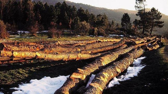 Ecosistemas al límite de su capacidad