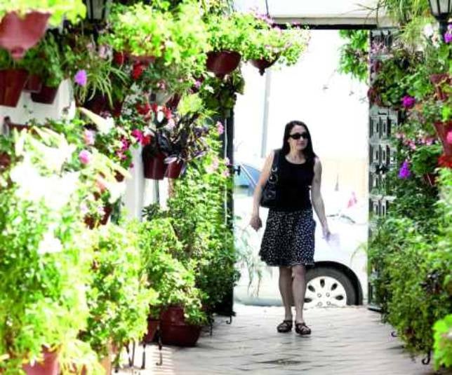 La Unesco no tendrá en cuenta la protección de Los Patios de 1980
