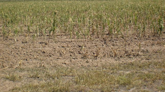La provincia de Huesca pide ser declarada "zona catastrófica" por la falta de agua
