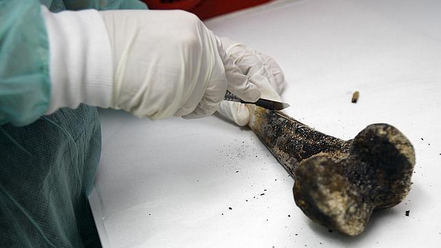 Así es el laboratorio donde se analizan los restos de la hoguera prendida por Bretón