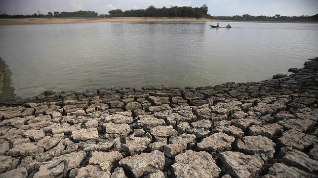 La lluvia en el Amazonas disminuirá entre un 12 y un 21 por ciento para 2050