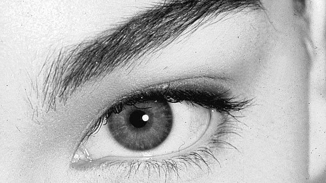 El Ojo Puede Ver Millones De Colores De Dia Y Solo En Blanco Y Negro De