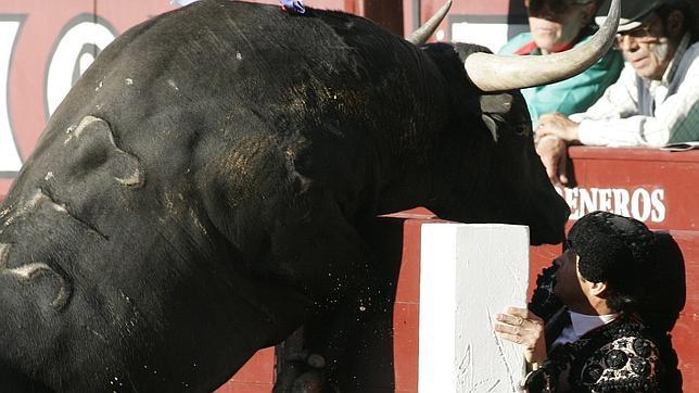 Los toros, sello distintivo de España