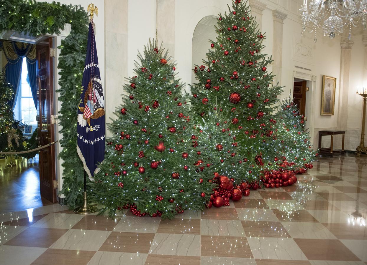 Larry Smith se ha encargado de proporcionar el árbol navideño