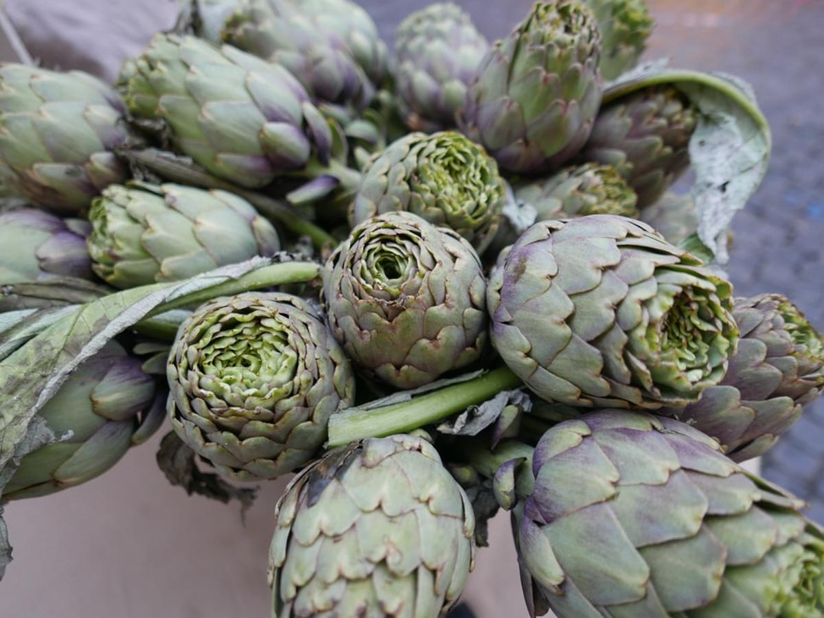 Alcachofa