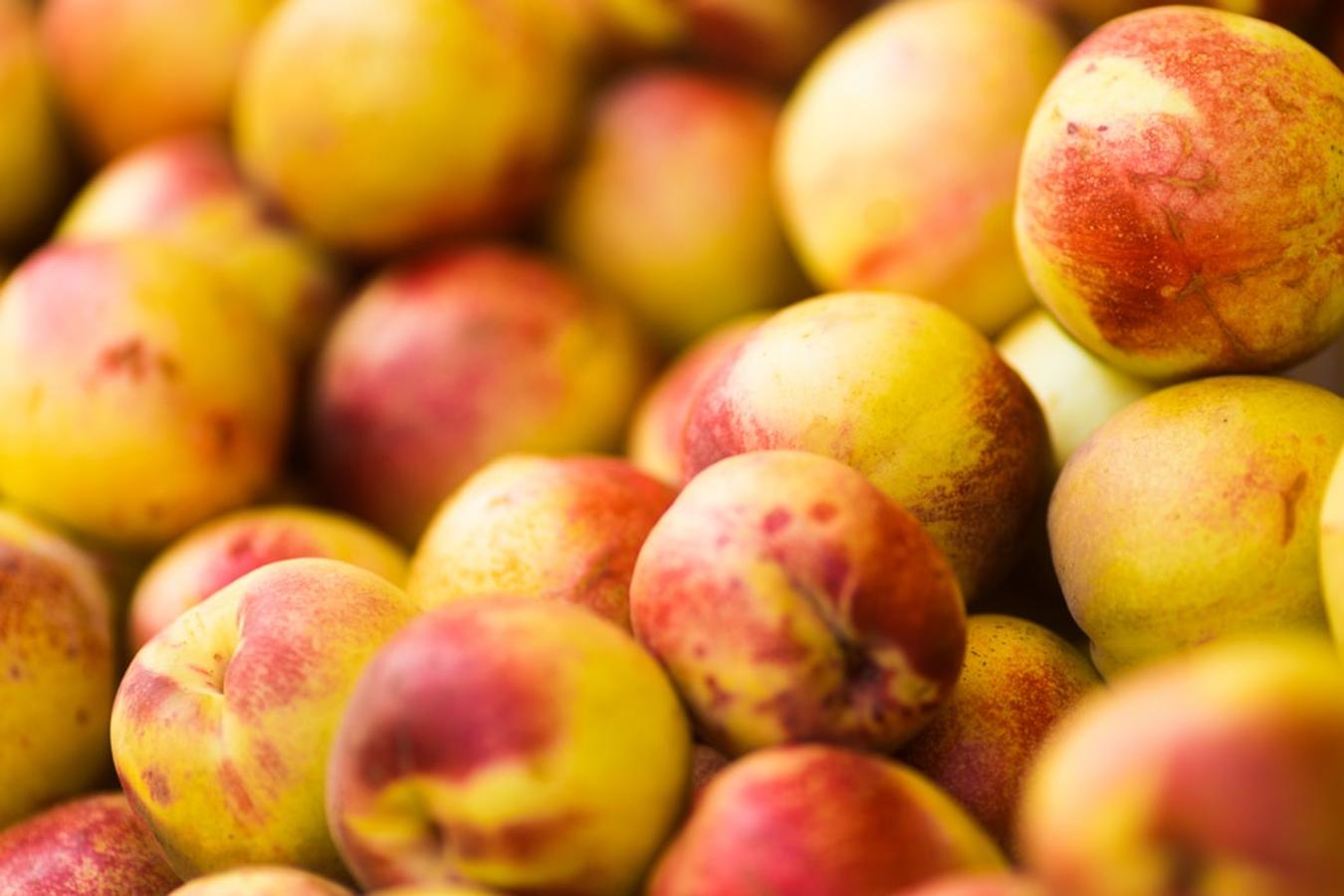 Nectarina