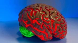 El entrenamiento del cerebro que ense&ntilde;a a manejar la ansiedad