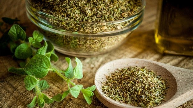como tomar el oregano para bajar de peso como tomar el oregano para bajar de peso