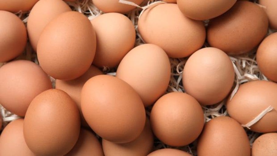 Día mundial del huevo La razón por la que no pasa nada si guardas los huevos fuera de la nevera Día mundial del huevo La razón por la que no pasa nada si guardas los huevos fuera de la nevera