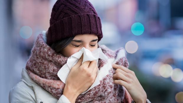 Mejores alimentos contra la gripe