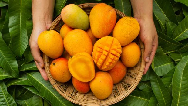 La curiosa razón por la que el mango refuerza la vista