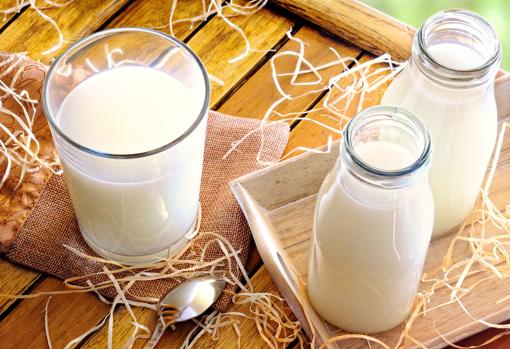 ¿Cambio mi leche habitual por una bebida vegetal?