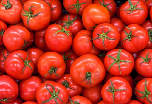 tomate-kOWC--510x349@abc