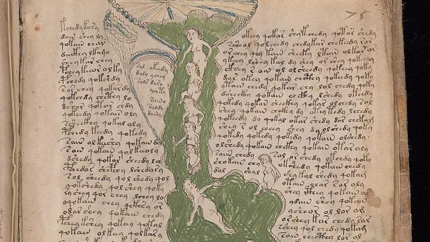 El manuscrito Voynich, ¿descifrado?