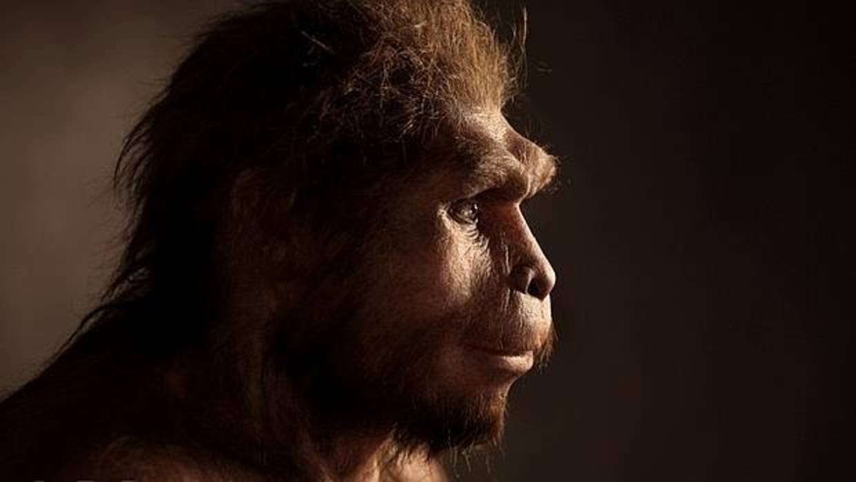 Inventó el lenguaje el Homo erectus hace 1,9 millones de años?