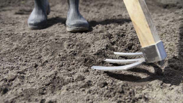 El arado facilitó enotmemente las labores de los primeros agricultores