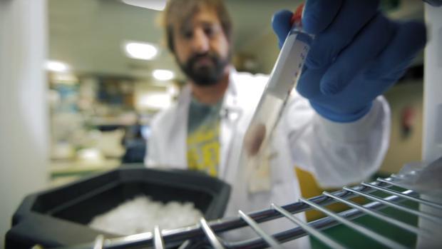 Un investigador del CNIO en su laboratorio