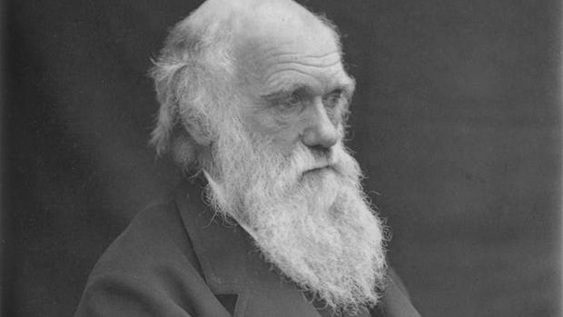 El naturalista británico Charles Darwin