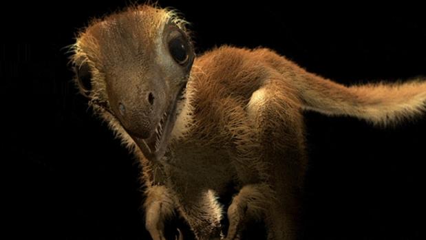 Representación de una cría de «Tyrannosaurus rex». Eran tan grandes como un pavo, pero, a los 20 años, estos animales alcanzaban los 8.000 kilogramos de peso y una longitud de 12 metros