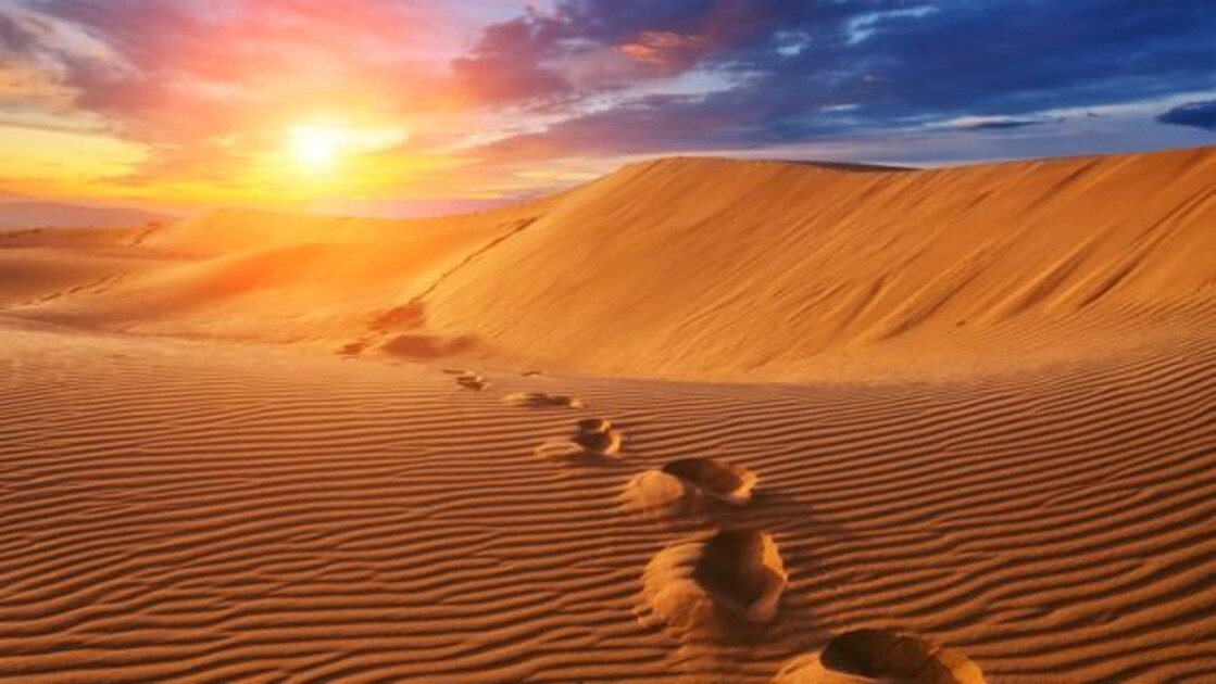 Deberiamos Convertir El Desierto Del Sahara En Una Inmensa Planta Solar