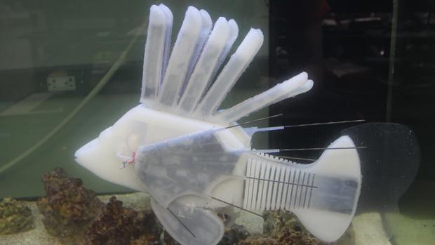 El pez león robótico creado por investigadores de la Universidad de Cornell
