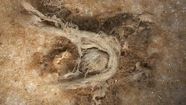 El primer cordel de la humanidad, creado por neandertales