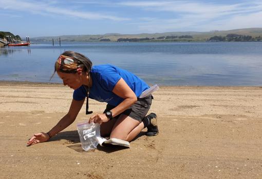 La profesora Ana Vola-Concejo recogiendo muestras en la Bahía de Tomales, California