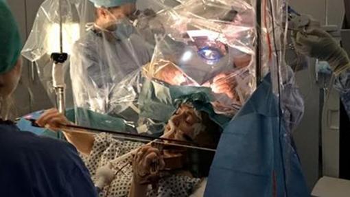 Diez descubrimientos asombrosos sobre el cerebro en 2020