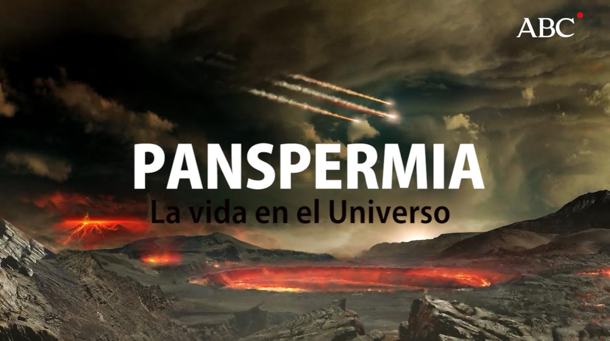 La Supervivencia De Los Deinococos Apunta A La Teoria De La Panspermia